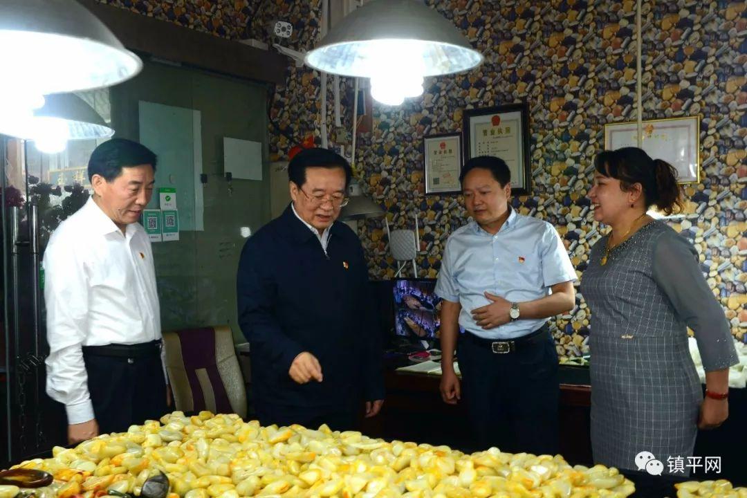省委书记王国生深入镇平县石佛寺镇天下玉源社区调研纪实