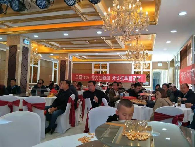 玉源种业 玉研1807与玉研505在庆阳的成长之路
